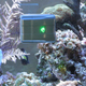 Fish Tank Cleaning Robot, $135